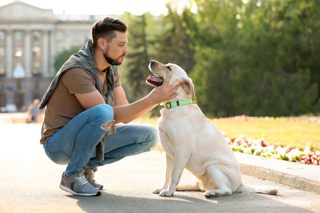 Man training a guide dog