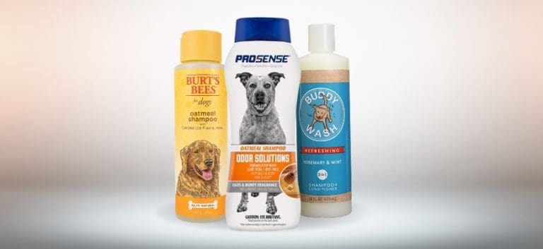 Three brands of Dog shampoos in slightly gray background.