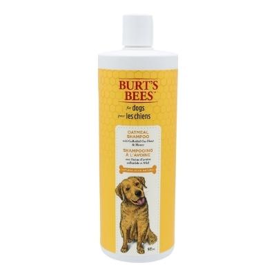 Burts Bees Oatmeal Shampoo For Dogs