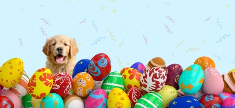 colorful easter eggs with golden puppy at the back