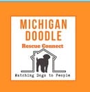 Michigan Doodle logo
