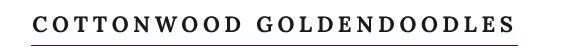 Cottonwood Goldendoodles logo