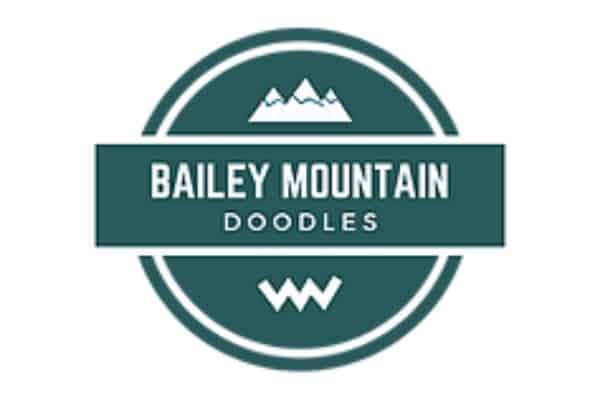 Bailey Mountain Doodles Logo