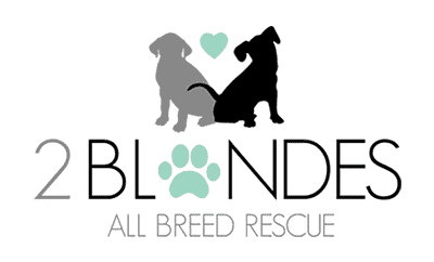 2 Blondes Rescue logo