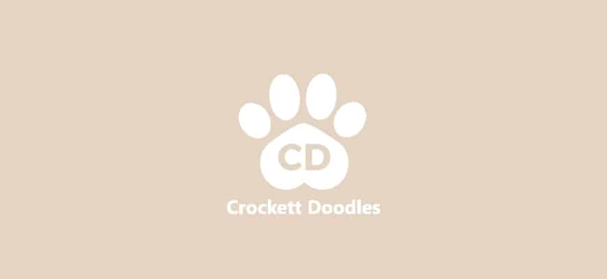 Crockett Doodles Logo
