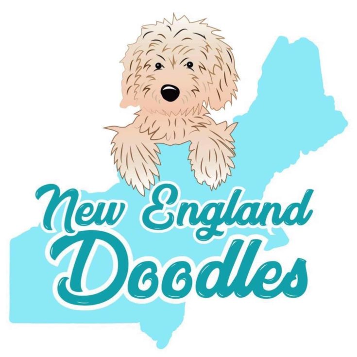New England Doodles logo