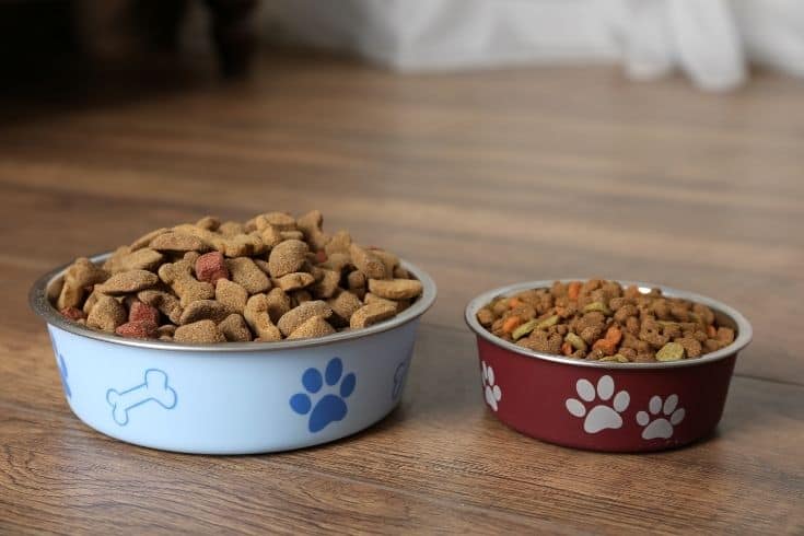 Dog Food in two different size of Bowls