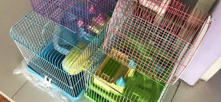 Stack of The Metal Wire Dog Crates