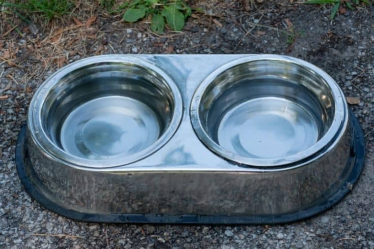 Stainless steel Bowls with Fresh Water for Thirsty Dogs put outdoors on the sidewalk where people walk with their pets on hot summer day.