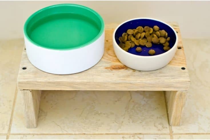 dog food bowl on a stool