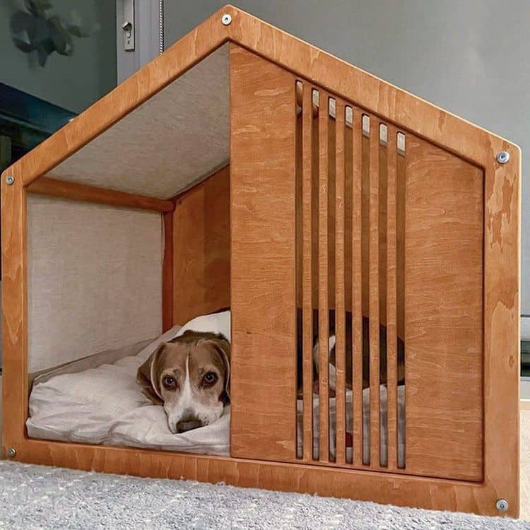 DogPlay Furniture