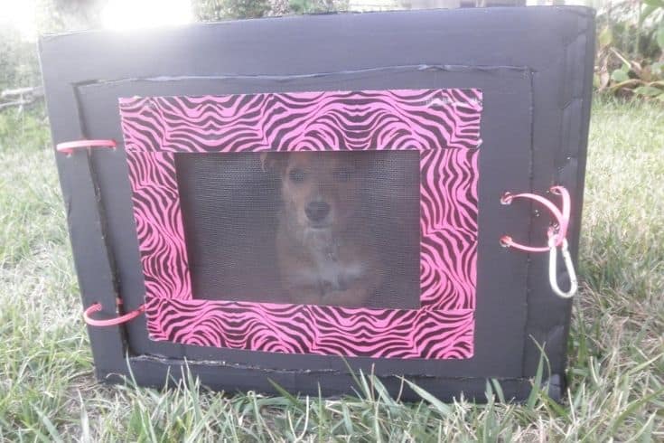 Cardboard Dog Crate