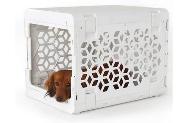 KindTail Pawd Collapsible Crate