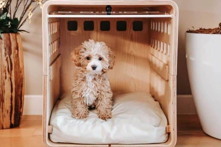 Fable Wooden Dog Crate