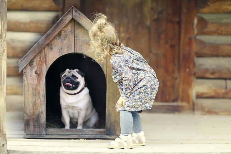 Girl and Small Dog, Dog House