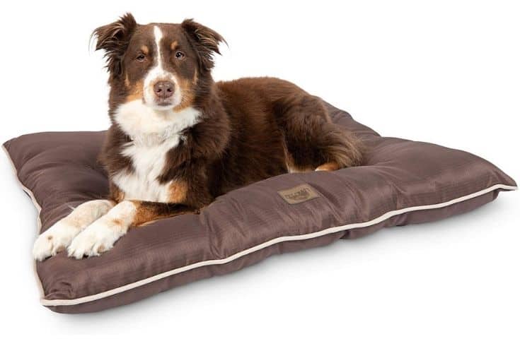 Pet Craft Supply Super Snoozer Durable Dog Bed
