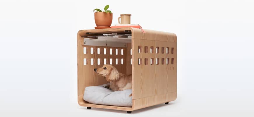 Fable Dog Crate with dog inside