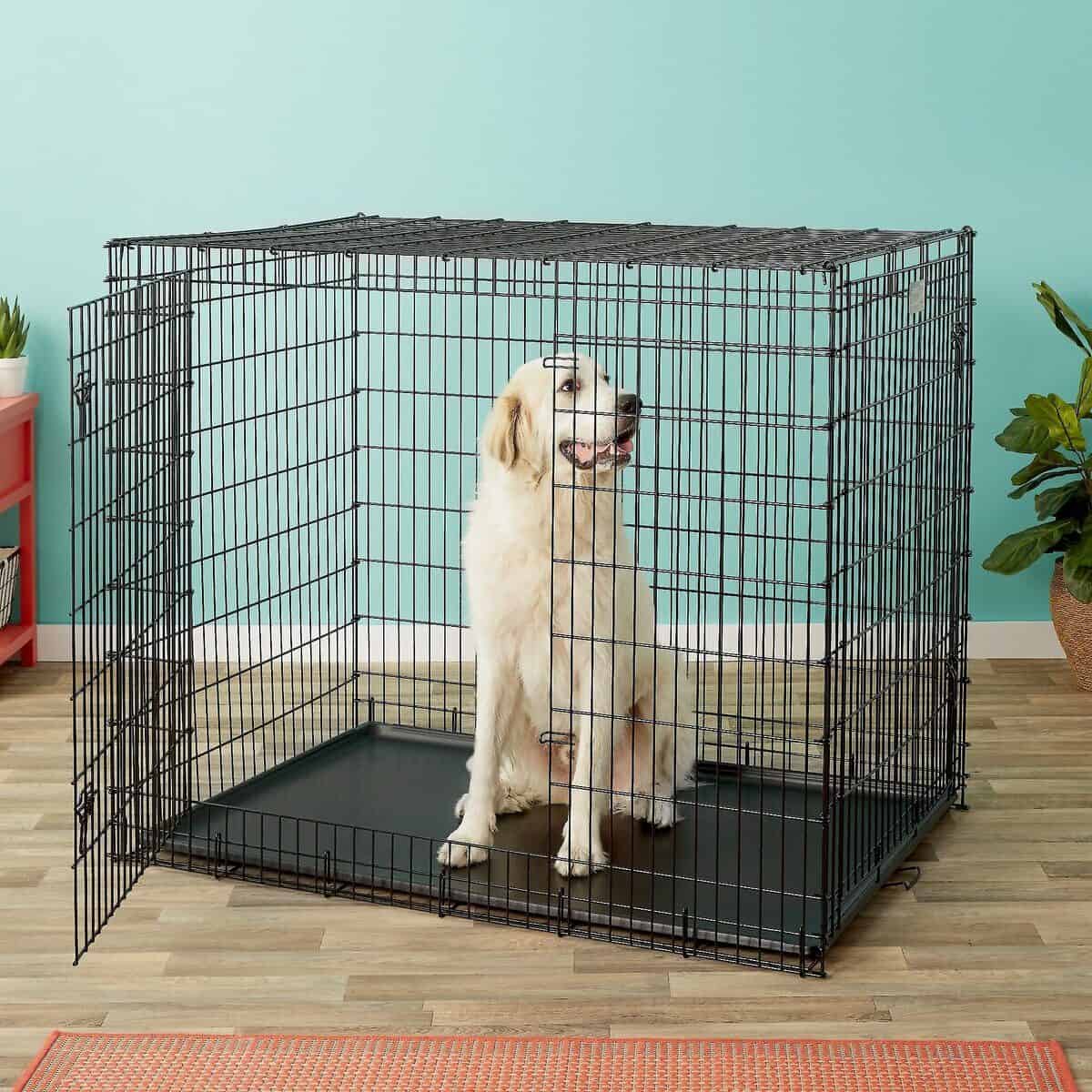 MidWest Solutions Series Wire Dog Crate