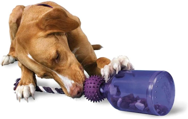 PetSafe Busy Buddy Tug A Jug Meal Dispensing Dog Toy e1642318460565