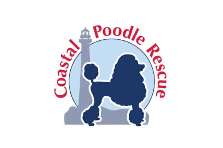 5. Coastal Poodle Rescue