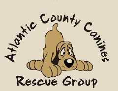 Atlantic County Canines ACC in New Jersey