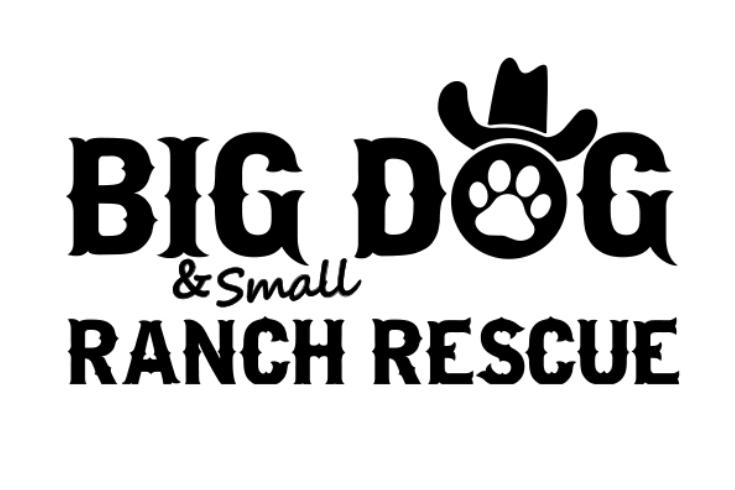 Big Dog Ranch Rescue Florida