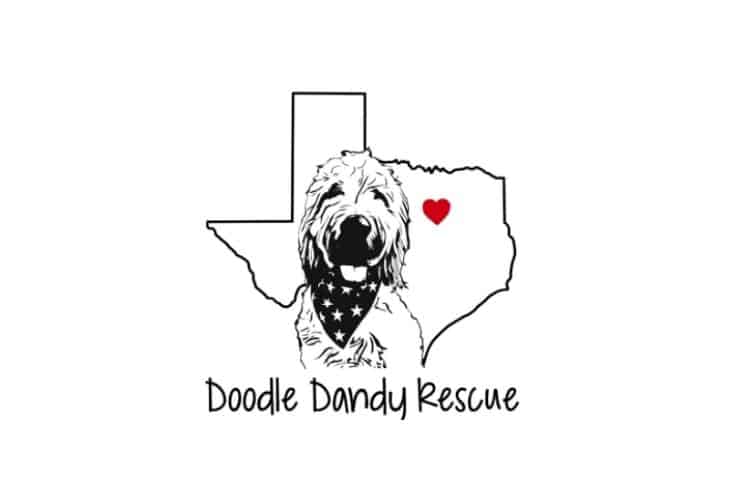Doodle Dandy Rescue