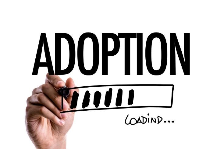 Factors to Consider Before Adopting