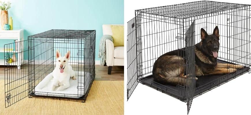 Frisco Vs Midwest Dog Crate