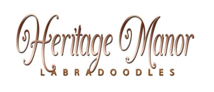 Heritage Manor Labradoodles LOGO e1645385735259
