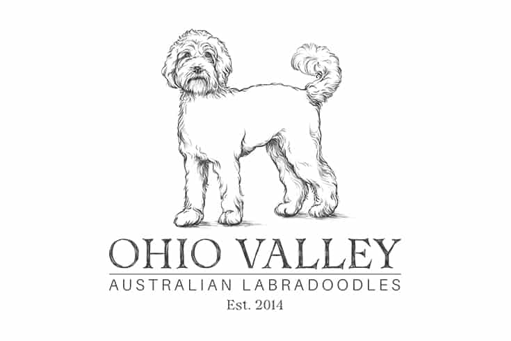 Ohio Valley Labradoodles logo