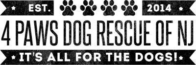 Paws Dog Rescue of New Jersey