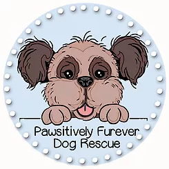 Pawsitively Furever Dog Rescue