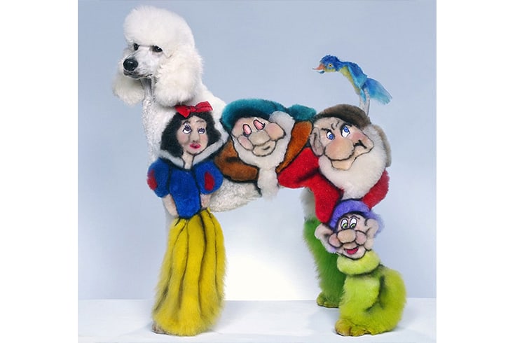 Snow White And The Seven Dwarves Poodle Grooming