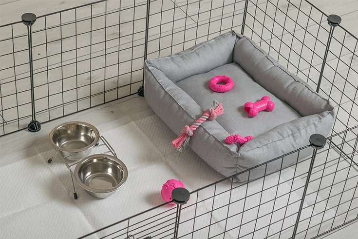 A small dog cage with toys for living in the house