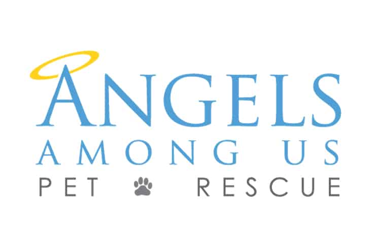 Angels Rescue logo