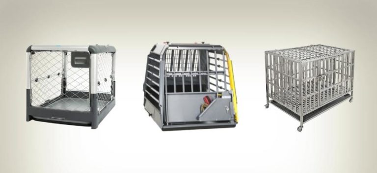 Best Double Door And Side Door Dog Crates
