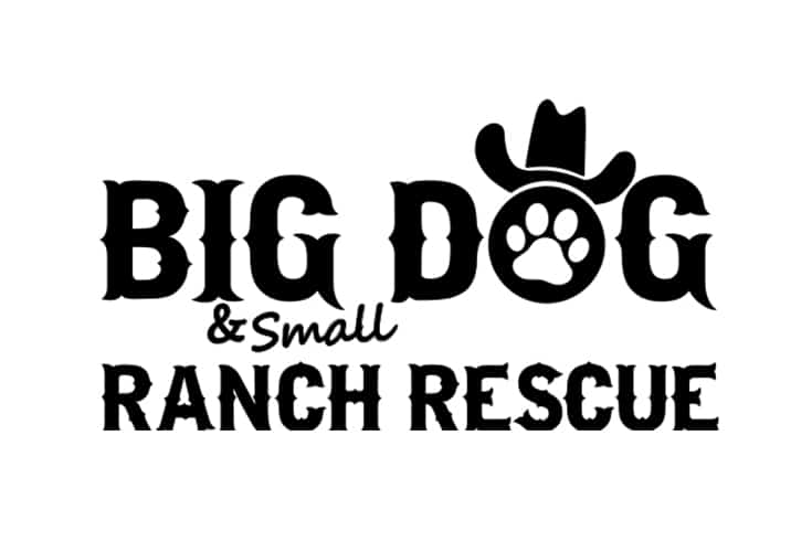 Big Dog Ranch Rescue