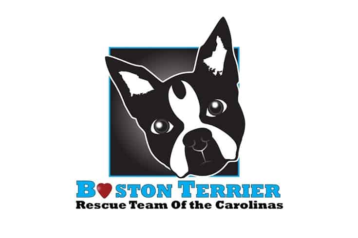 Boston Terrier Rescue Team of the Carolinas