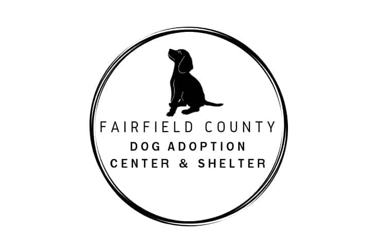 Fairfield County Dog Adoption Center Shelter