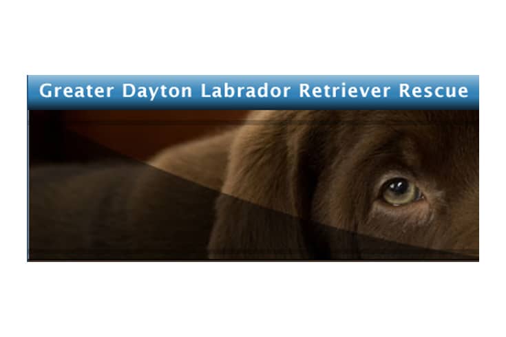 Greater Dayton Labrador Retriever Rescue