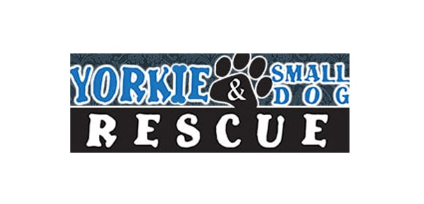 Houston Yorkie and Small Dog Rescue