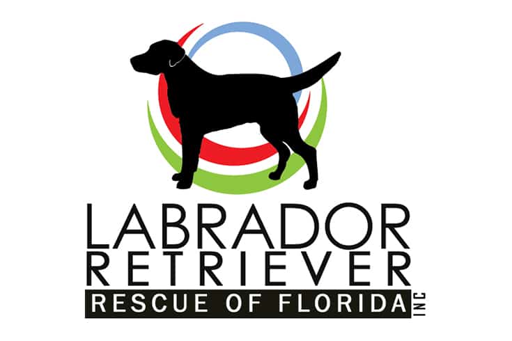 Labrador Retriever Rescue of Florida