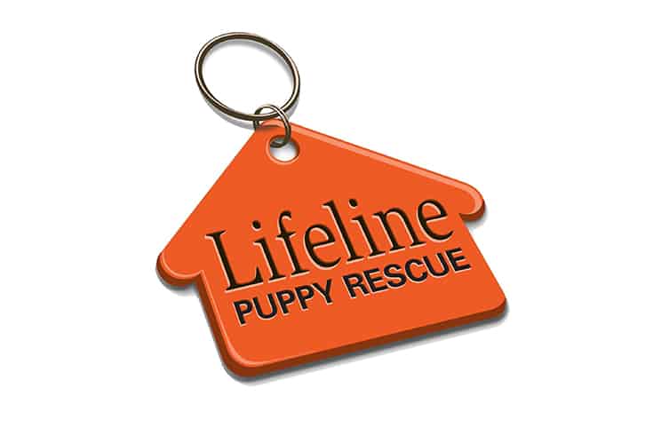 Lifeline Puppy
