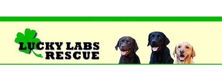 Lucky Labs Rescue