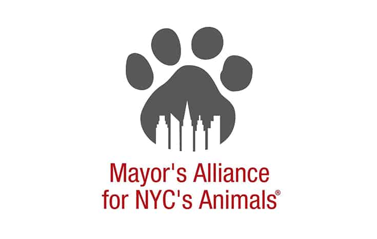 Mayors Alliance for NYCs Animal