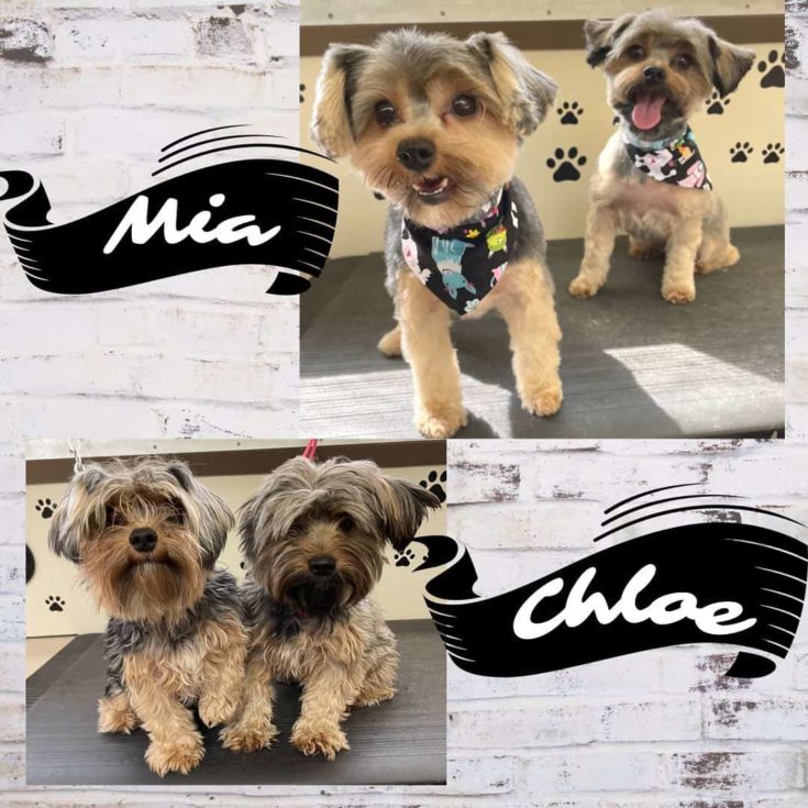 Mia Chloe new haircuts e1646841816879