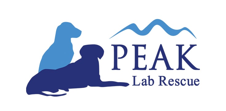 Peak Lab Rescue