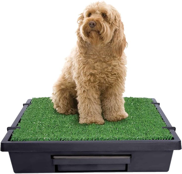 PetSafe Pet Loo Portable Outdoor or Indoor Dog Potty e1647524418839