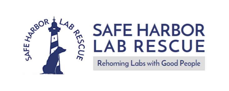 Safe Harbor Lab Rescue